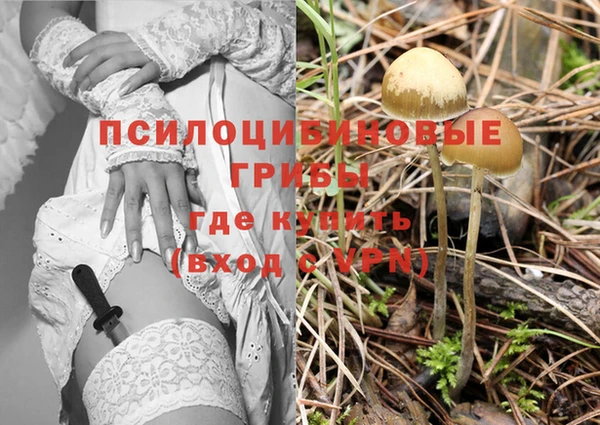 гидропоника Алзамай