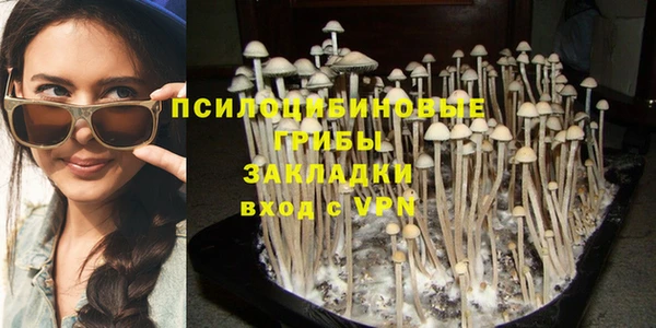 мяу мяу мука Алексеевка