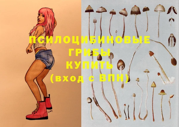 сатива Абдулино