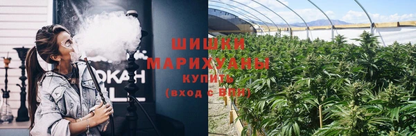 гидропоника Алзамай